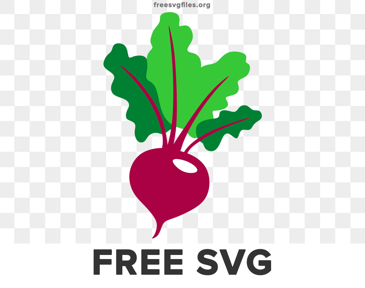 Free Beet Svg
