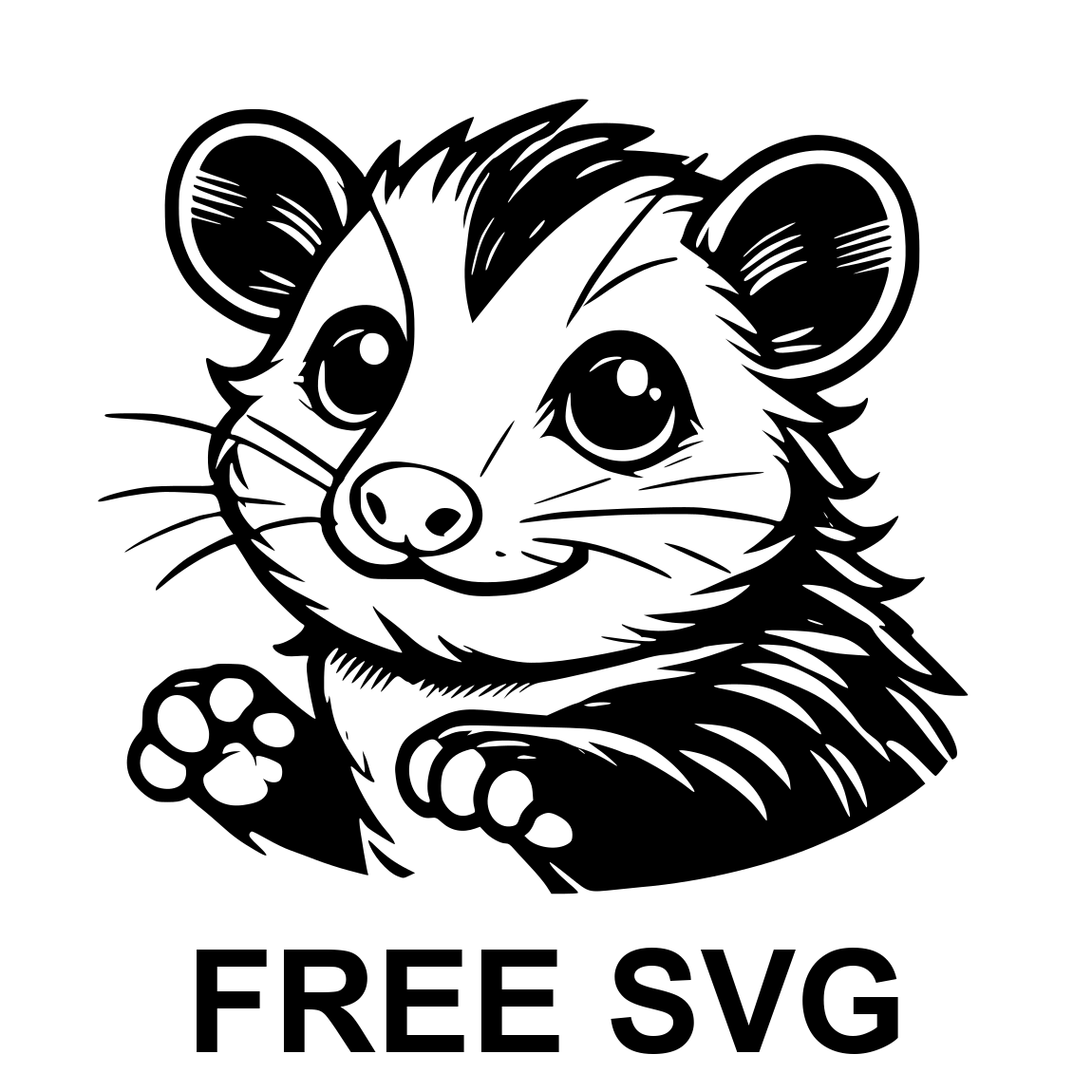 Free Opossum Svg